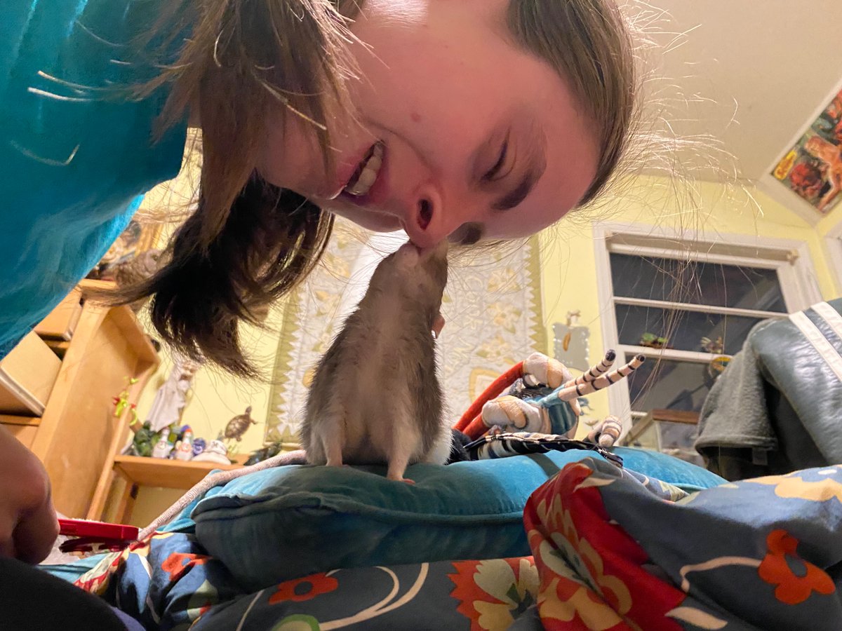 Love these pics my friend took of her gay ass rat nibbling at my nose