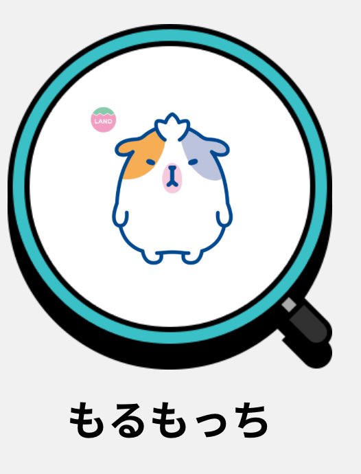 モルモット界の皆様！！もるもっち！！もるもっちです