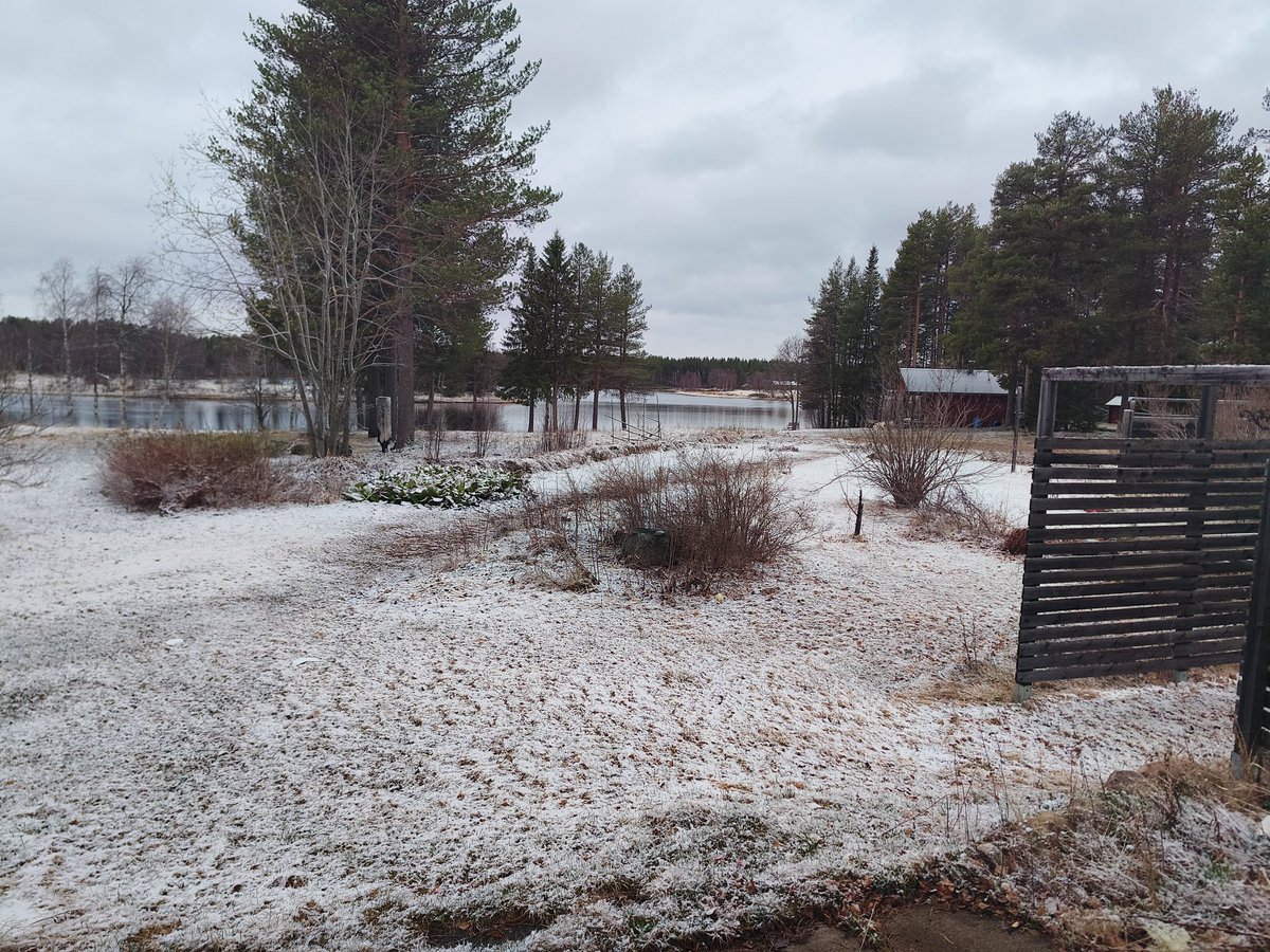 Härligt med nysnö👍
