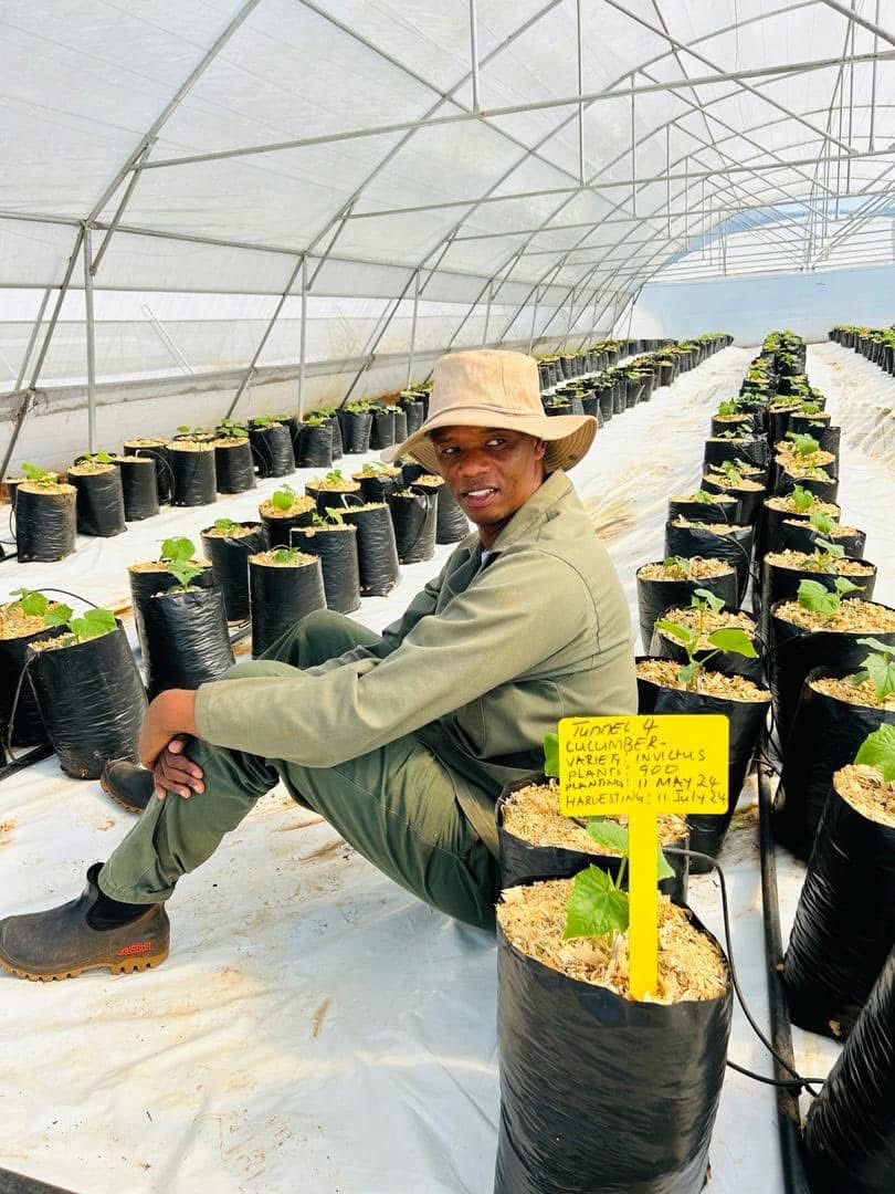 Agric_young's tweet image. My name is Mbuso Menzi Vilakati from Eswatini. I am a farmer and the founder of Eswatini Agri-tech solutions . My farm is 12 hectares with five tunnels. I started farming in 2015, &amp;amp; the main activity is vegetable production.
#farming #agriculture #farm #agritech #farmer #veggies