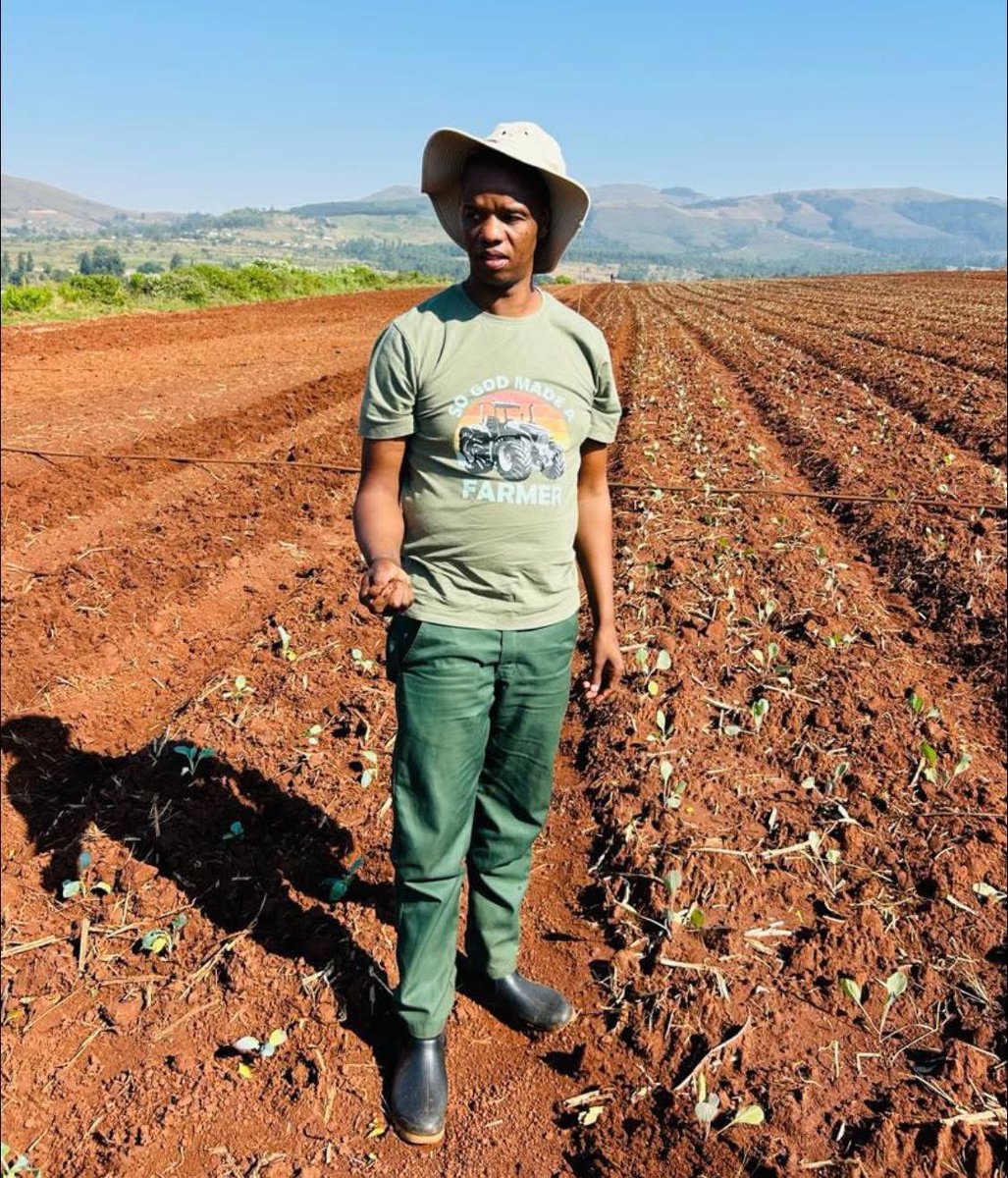 Agric_young's tweet image. My name is Mbuso Menzi Vilakati from Eswatini. I am a farmer and the founder of Eswatini Agri-tech solutions . My farm is 12 hectares with five tunnels. I started farming in 2015, &amp;amp; the main activity is vegetable production.
#farming #agriculture #farm #agritech #farmer #veggies