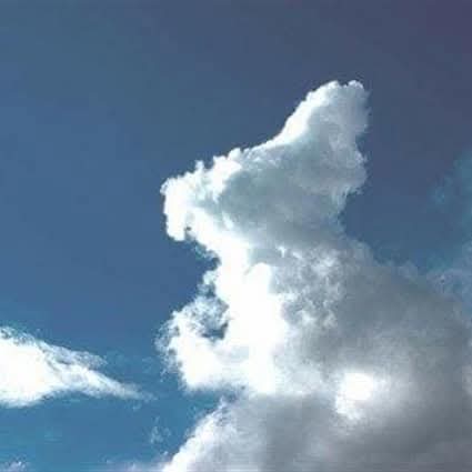 RabbitLoversUSA's tweet image. Rabbit clouds ⛅🐰🌨🐇🌥
