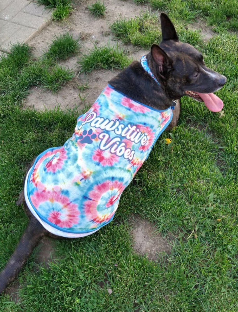 MHenry6120's tweet image. I've been havin' issues with blood on my tush when I poo so I saw the dogtor Monday. Now I gotta have surgery for a rectal polyp! 😭 Not sure when but I'll keep you posted. Mama's super anxious 💖