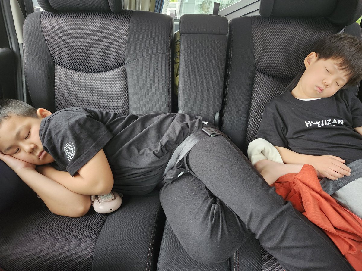 若い頃は、大人たちはなんでわざわざ貴重な休日に、金と体力と時間使って子連れで出掛けるのか、全く理解できなかったけど、答えはこの景色を見るためなんだと納得する今日このごろ