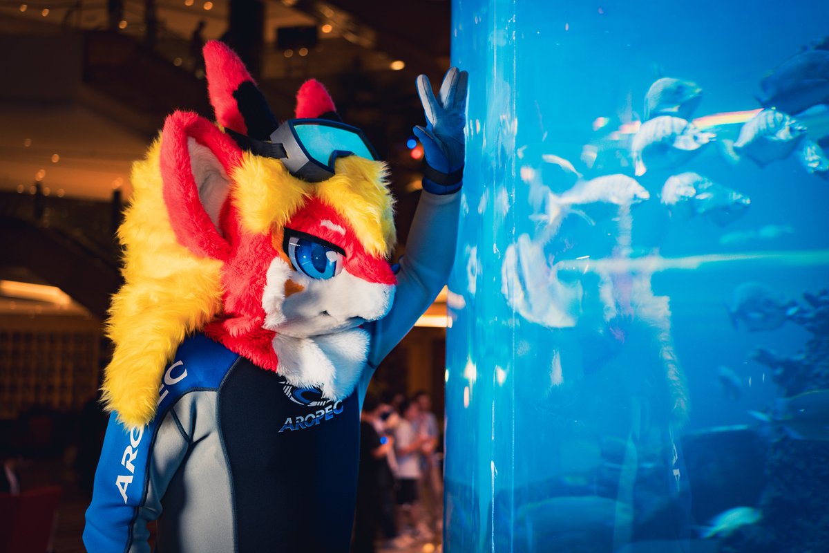 小塚🐾 tweet media