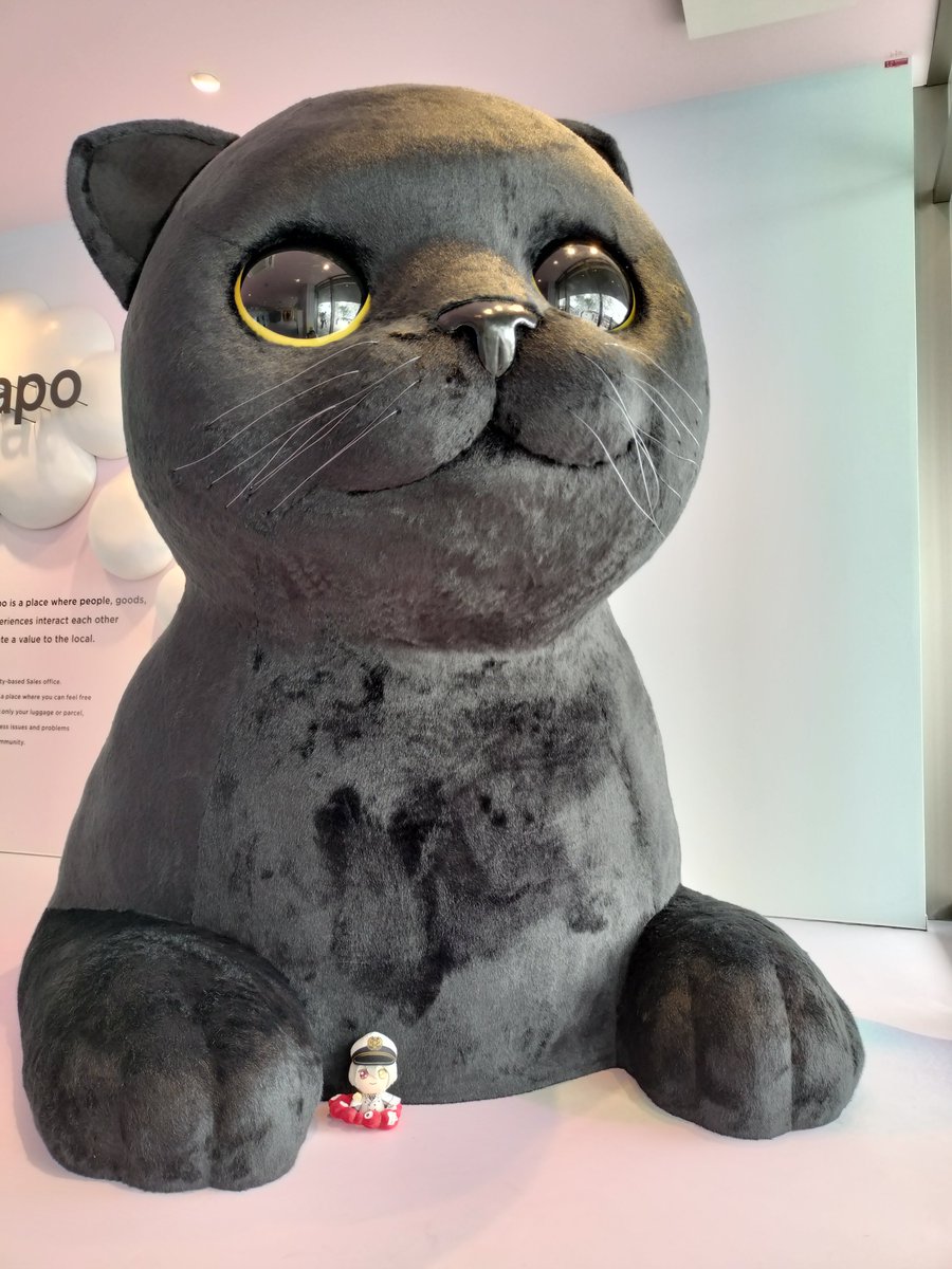 夢見るクロネコの世界