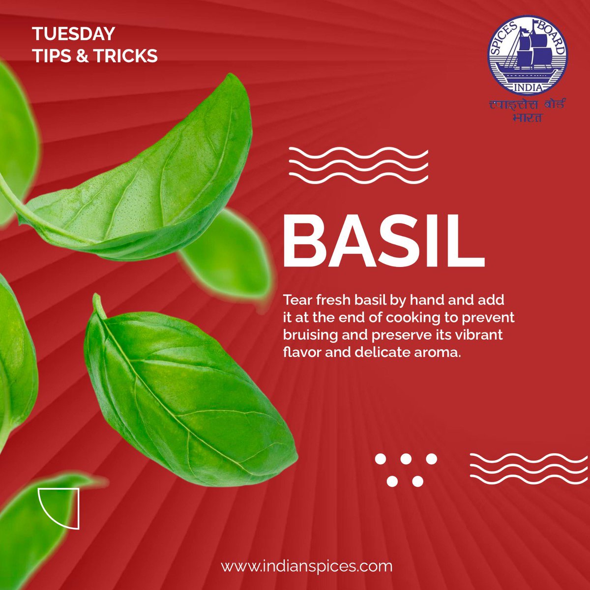 Spices_Board's tweet photo. A gentle tear keeps basil’s natural oils intact, giving you maximum flavor. Heat can destroy its sweetness, so toss it in at the last minute for a burst of fresh goodness.
#TuesdayTips #BasilTips #HerbSecrets #FlavourFirst https://t.co/NnzI3ckFhI