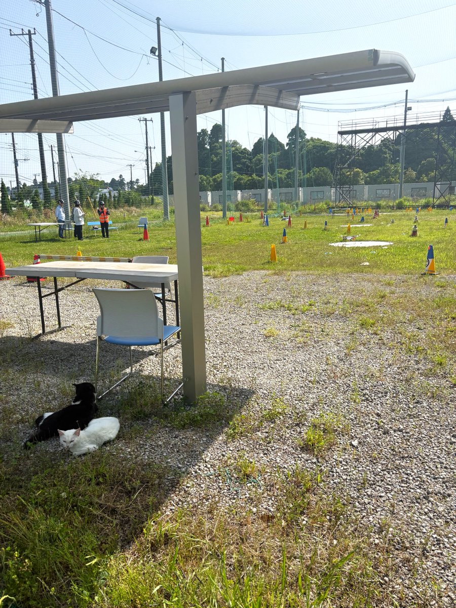 NTTdrone's tweet photo. 【in千葉県東金市】
NTT e-Drone Technologyが運営する「現場特化型のERTS講習」の様子
風速4m/s付近で絶好の訓練日和! 初心者の飛行操縦レベルが一気に上がってます!
ERTS講習受講+国家2等ライセンスを受講される企業様が多いです。
#NTTドローンスクール #ERTS #国家ライセンス https://t.co/mlo1lvf4aE