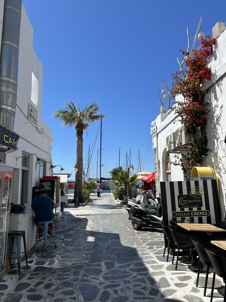 Mateja Sarac tweet media