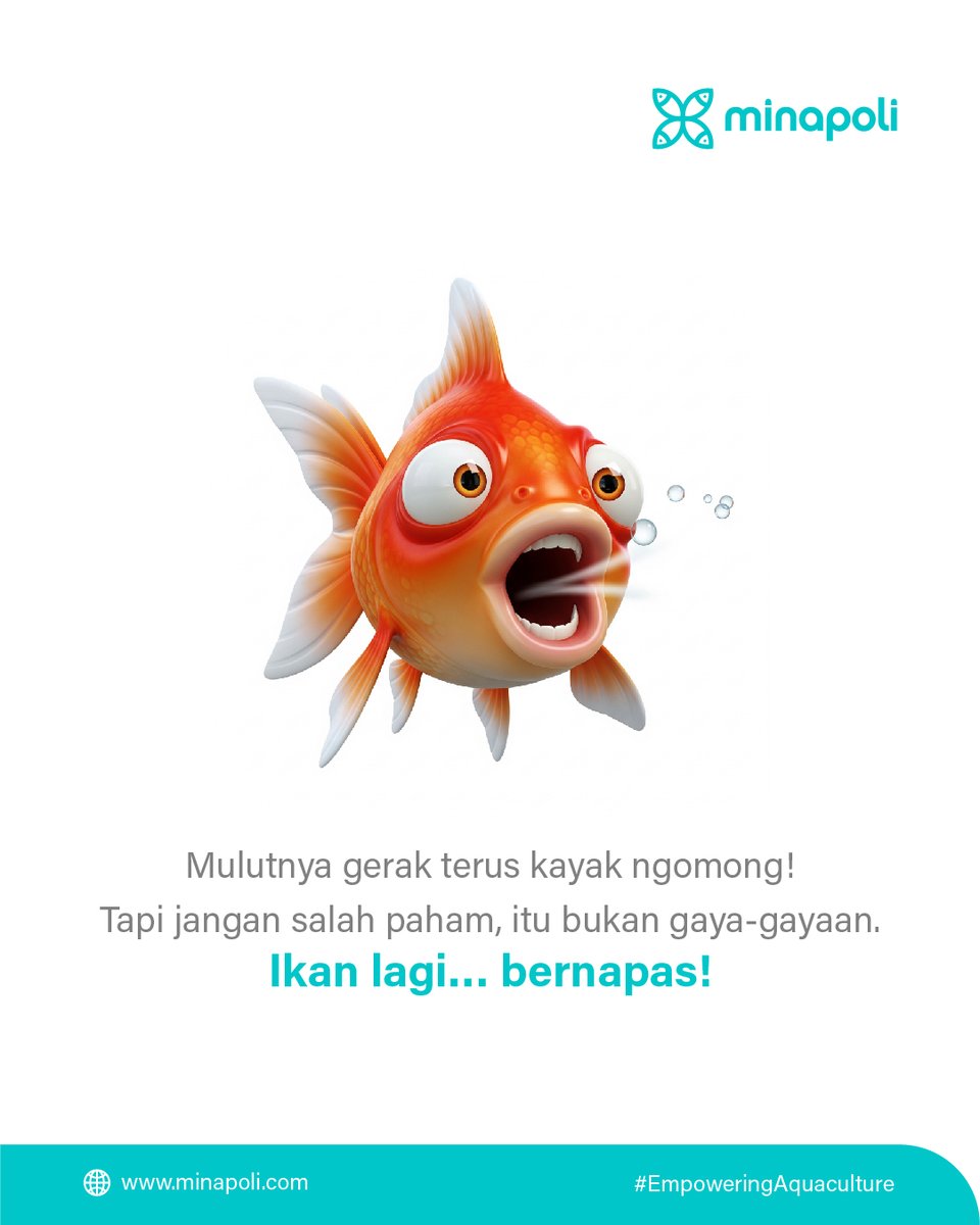 Minapoli tweet media