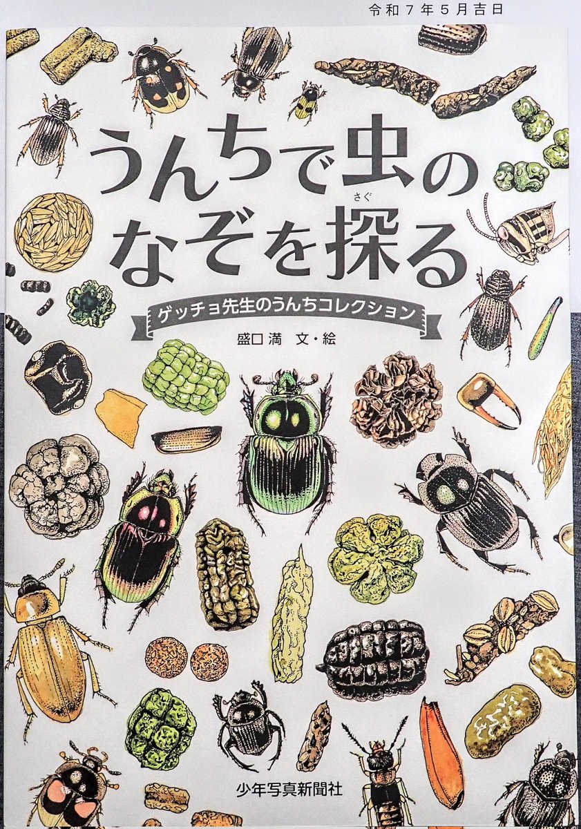 ゲッチョ先生から絵本を頂きました。
いつもありがとうございます。

少年写真新聞社
「うんちで虫のなぞを探る」

うんちと虫がメインのマニアックな絵本です。
私も少しばかりお手伝いをさせていただいているので、よろしくお願いいたします。