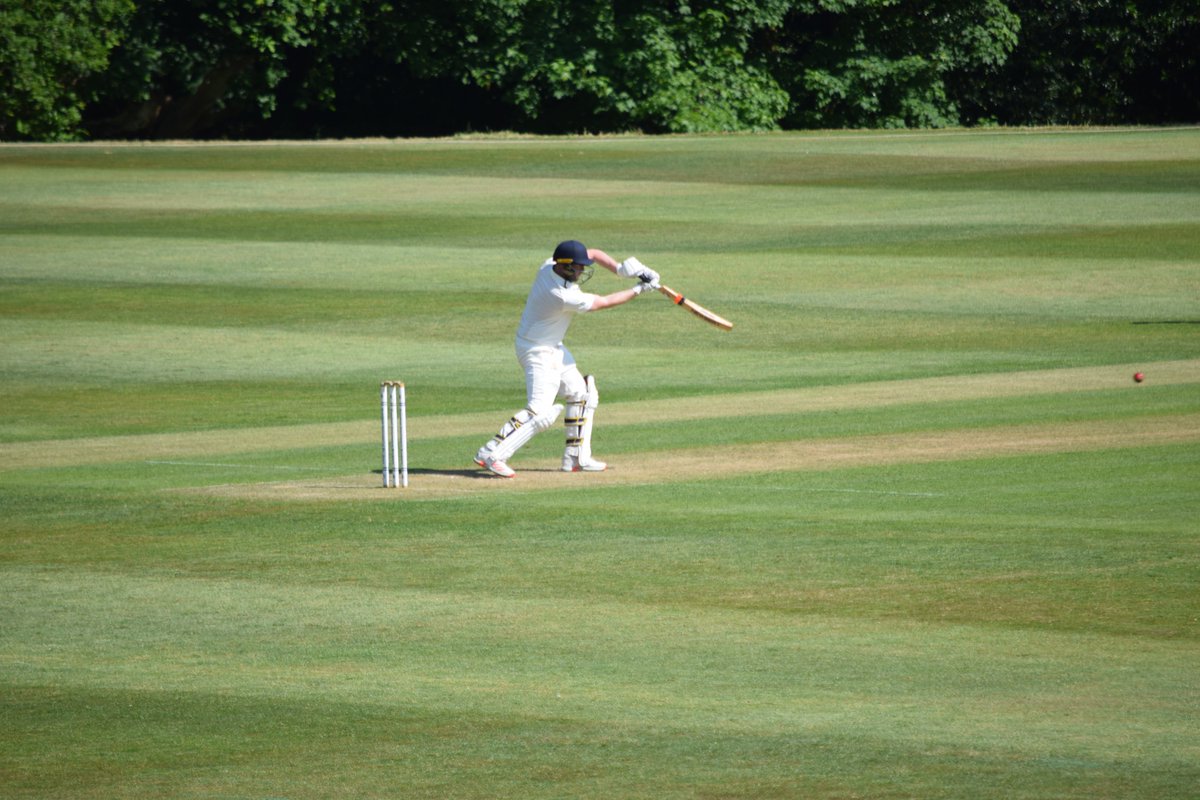 The Bushmen tweet media