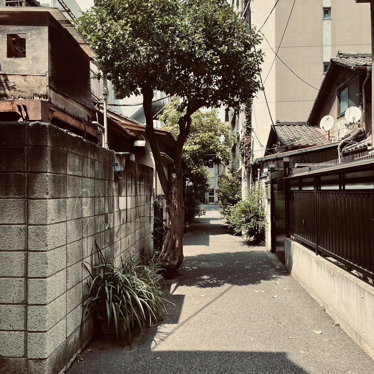 mercurysquad_jp's tweet image. 今日は秋葉原ってか神田明神下で
お仕事ですʕ•̫͡•ʔ•̫͡•ʔ
この路地は元宝亭の裏側かな？
まだ残ってました。