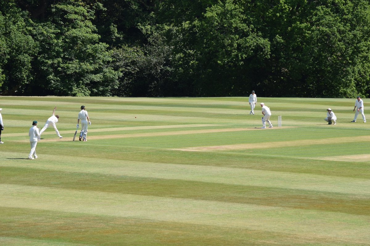 The Bushmen tweet media