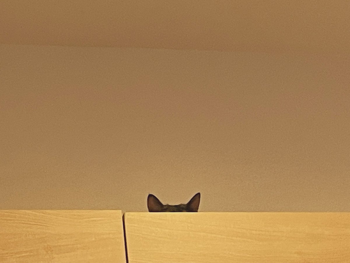 ？