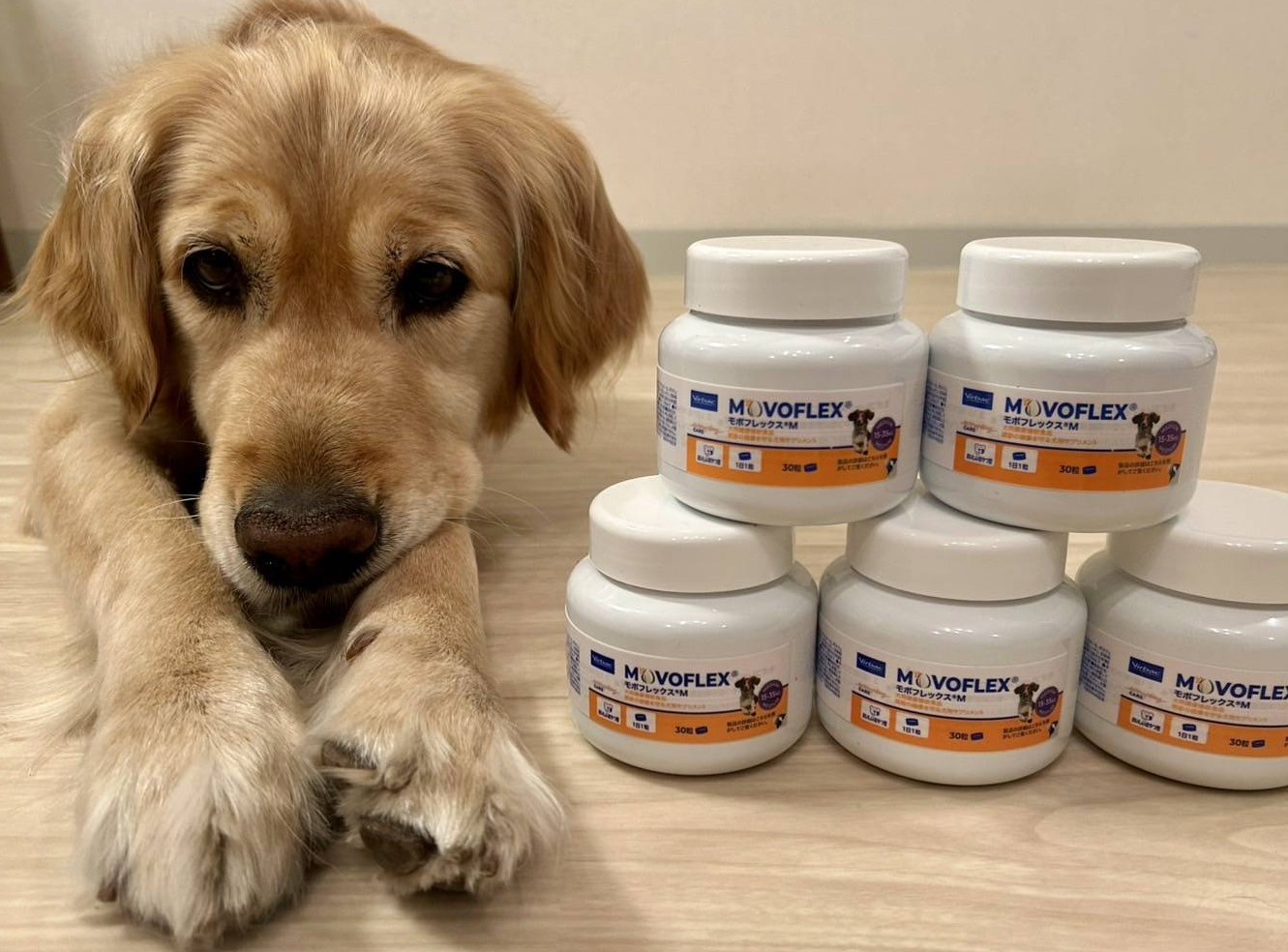 MOVOFLEX モボフレックス®S 30粒*5