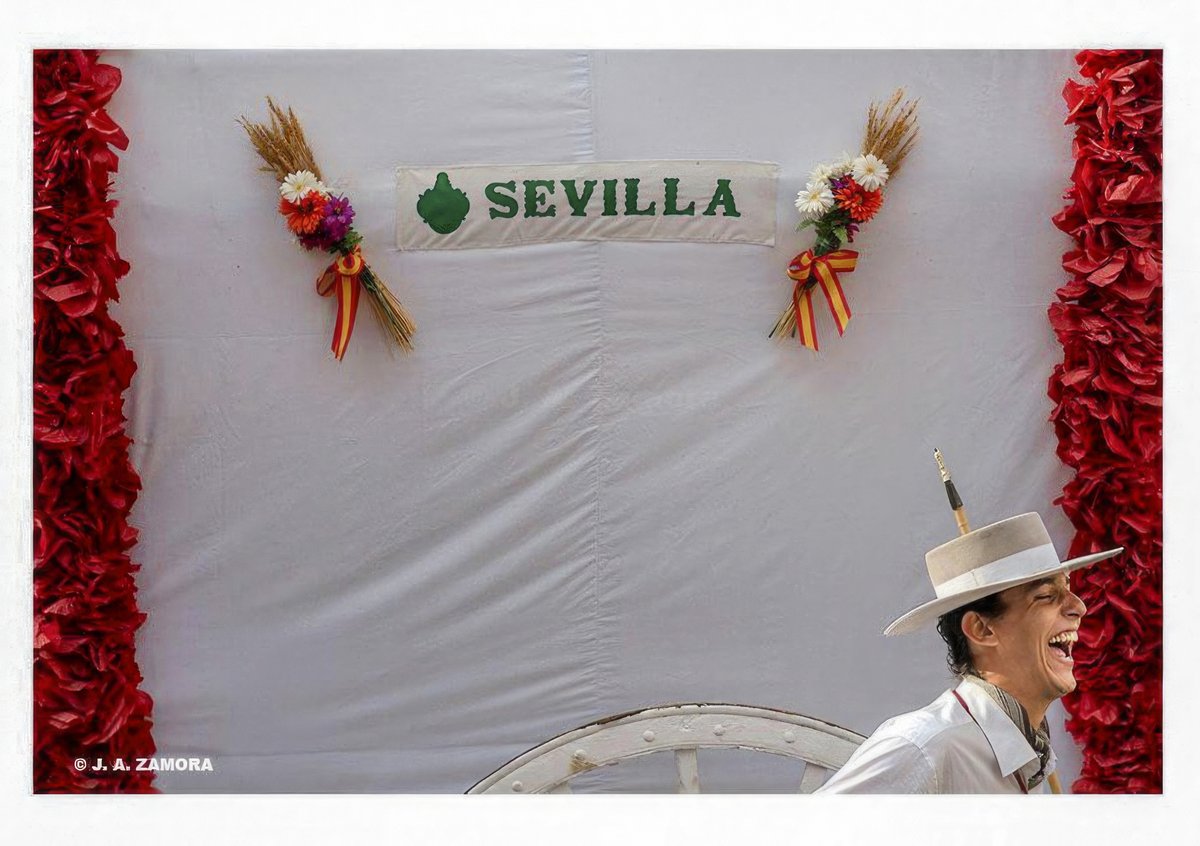 José Antonio Zamora tweet media