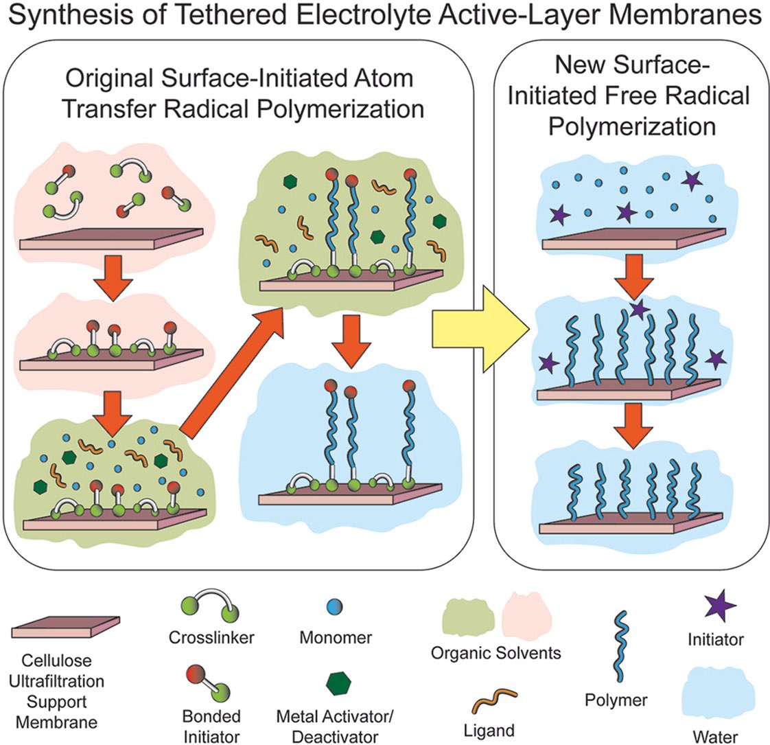 Just published in <a href="/J_Membrane_Sci/">Journal of Membrane Science</a> : Our latest research introduces a new type of polyelectrolyte membrane - tethered electrolyte active-layer membranes (TEAM) - created through simple, green synthesis methods. 

Read the full paper: sciencedirect.com/science/articl…

#Membranes #Polymer