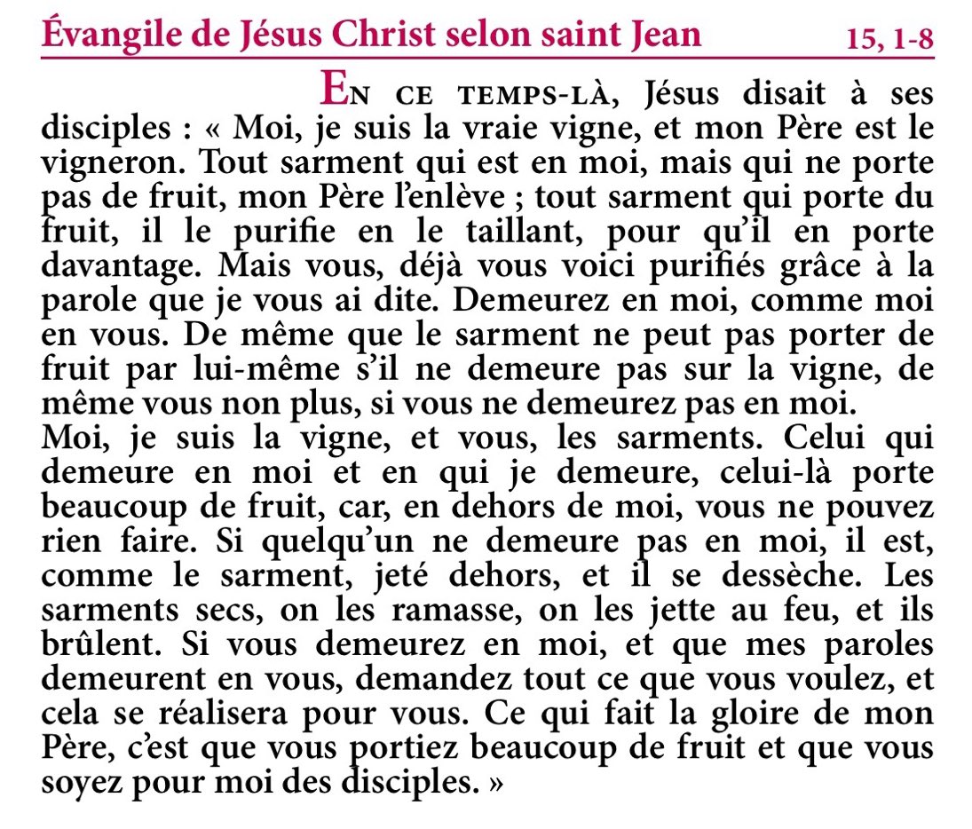 PSEVEZsj's tweet image. &quot;De même que le sarment ne peut pas porter de fruit par lui-même s’il ne demeure pas sur la vigne, de même vous non plus, si vous ne demeurez pas en moi.&quot; Jn 15 ☀️

☀️ #Pâques ☀️ #EvangileduJour ☀️