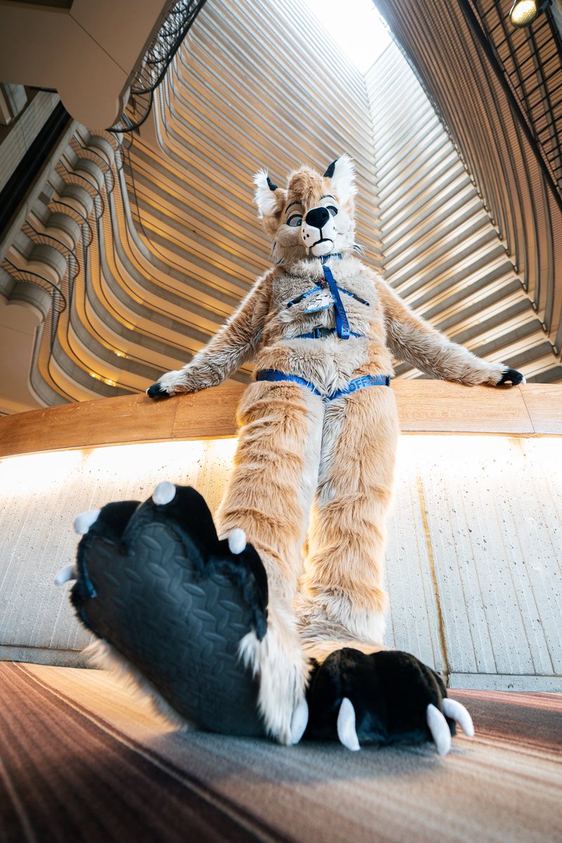 Sparkie π FWA (@virtualsparkie) on Twitter photo Little late but happy #PawDay πΎ
πΈ <a href="/_CrowCreations_/">Crow Creations Fur-tography! π MP+AFC+FC+TFF!</a> Little late but happy #PawDay πΎ
πΈ <a href="/_CrowCreations_/">Crow Creations Fur-tography! π MP+AFC+FC+TFF!</a>