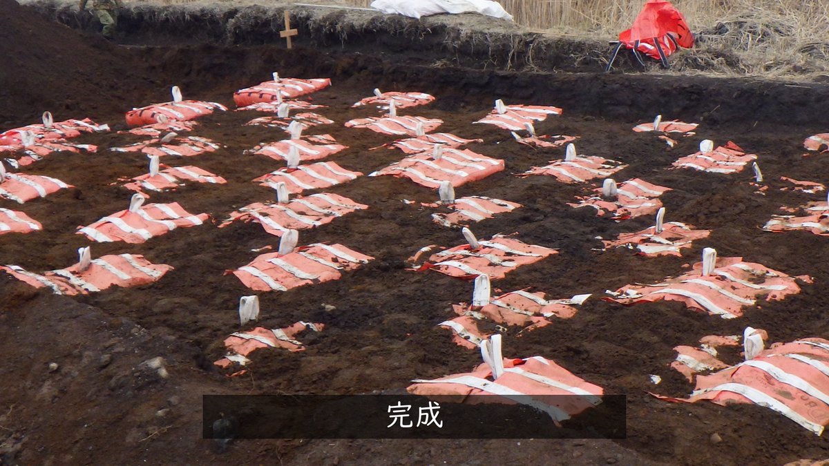 #中部航空施設隊 は #東富士演習場 において #第１施設団 と東富士演習場定期整備を行いました。「Ｄ－ＢＯＸ」という地盤補強の製品を使い #陸上自衛隊 と協同して戦車道の路盤改修整備を行い、連携強化と施設技術の練度向上を図ることができました。
#防衛省 #航空自衛隊
