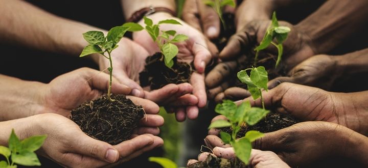 Al Mondo alla Radio di ieri sera abbiamo parlato: della situazione umanitaria a #Gaza dove in centinaia di migliaia sono alla fame, delle elezioni in Polonia, e poi della triste crescita delle agromafie secondo il rapporto <a href="/coldiretti/">Coldiretti</a> ➡️ Qui il podcast bit.ly/3GY9l9U