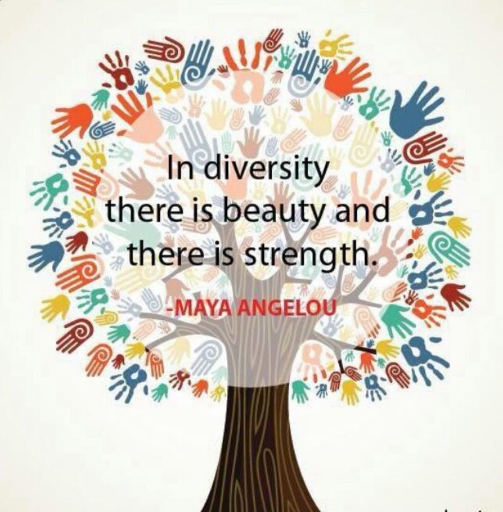Today we are coming together as a trust and celebrating the things that make us unique. We look forward to sharing the ways our schools celebrate their diverse nature.