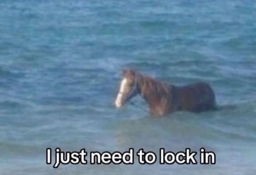 ADHD Memes (@adhdforreal) on Twitter photo 