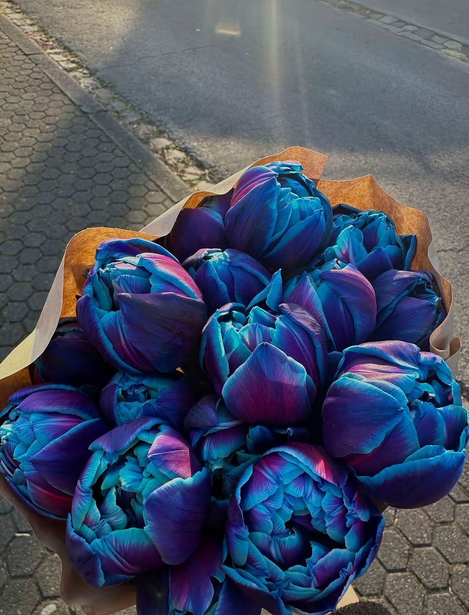 Çok birşey istemiyorum zalımın oğlu 🫠