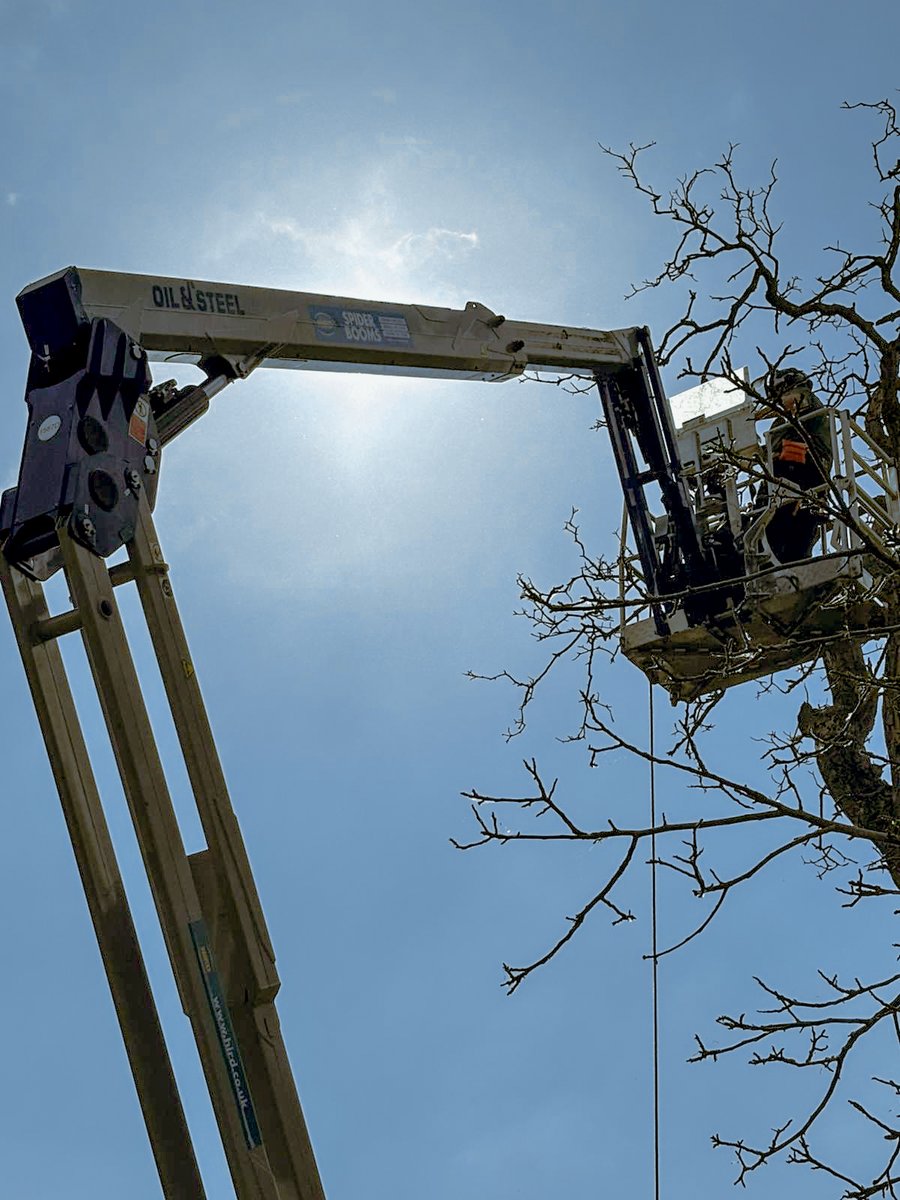HirdyLifting's tweet image. At the root of a successful job lies a great piece of equipment...

#Hird #Arborist #OilAndSteel #WorkingAtHeight #OCTOPLUS17 #trackedaccess #SpiderBooms #TreeWork