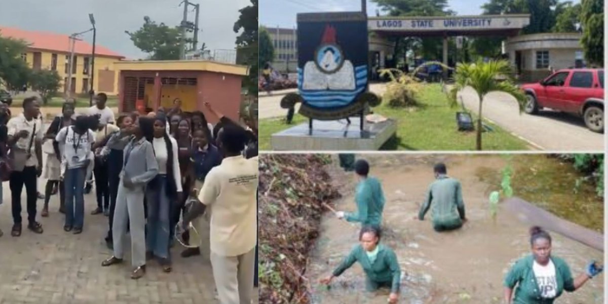 SaharaReporters's tweet photo. Lagos University LASU Students Protest Against Alleged Dehumanising Treatment' By Dean Of Agriculture, Prof Abanikannda | Sahara Reporters https://t.co/usMWSruttP https://t.co/sCbwcqHVtB