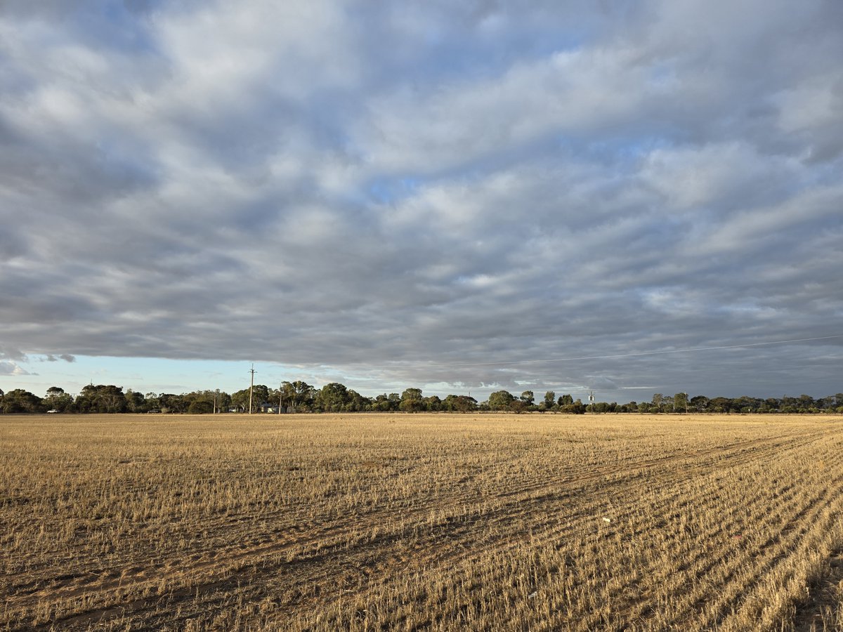 🔹We’re currently conducting crucial soil air geochemistry analysis across this vast terrain.

🔹This step helps identify active hydrogen generation &amp; migration zones — vital to high-grading prospects &amp; sharpening our focus.

#GeologicalHydrogen #CleanEnergy #THR $THR