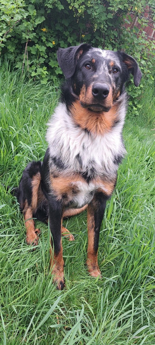 🍑 Flyremoon 🍑 tweet media