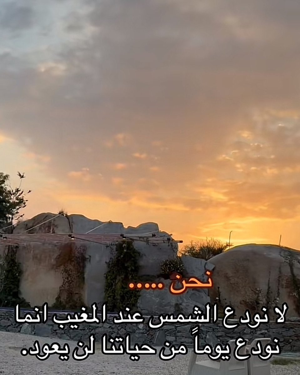 المتفائل tweet media