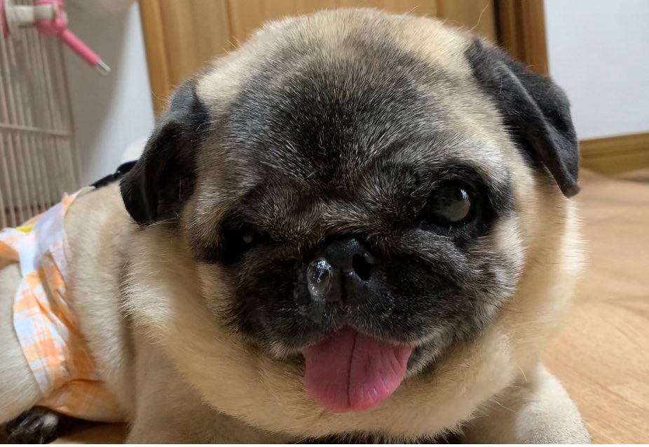 暑いよぉ🥵

今日はパンツ一丁で〜す😆