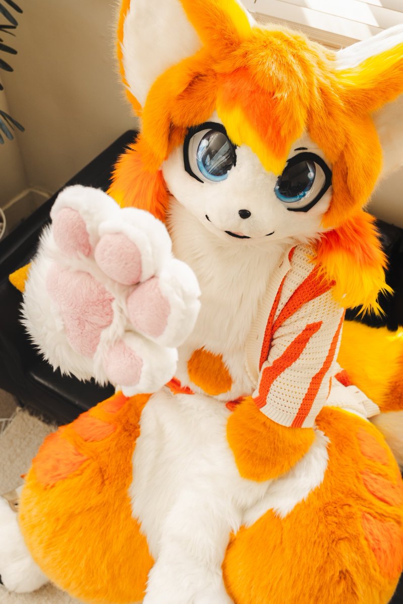 #PawDay 🐾