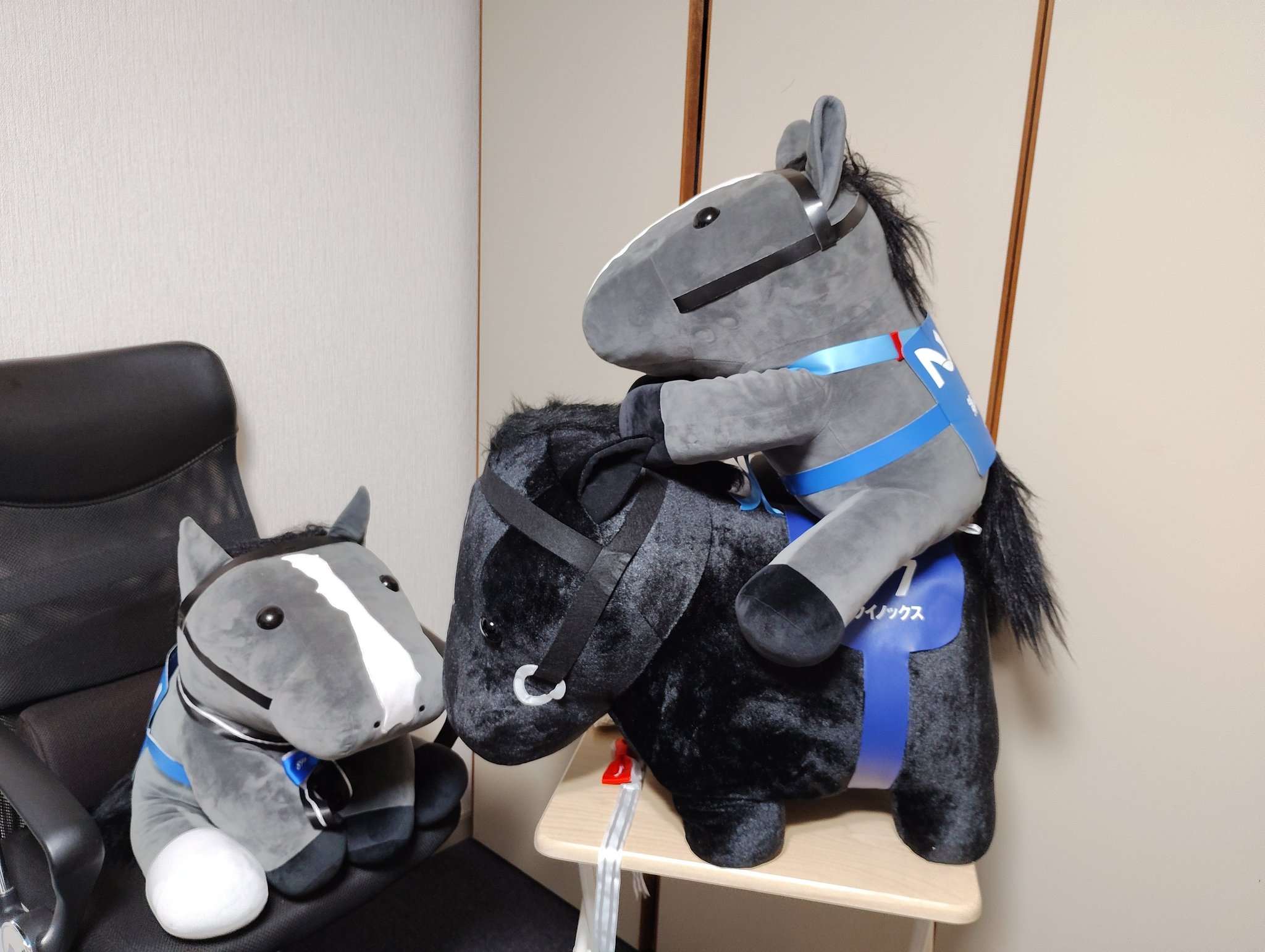 値下げしました⭐《新品未使用未開封》イクイノックスデカもっち