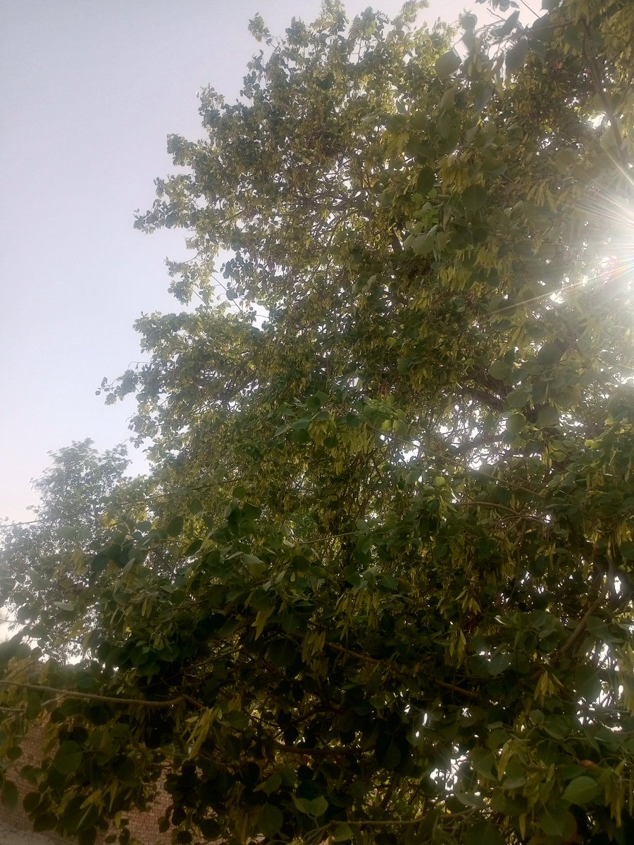 catherine lindberg (@cathlindberg) on Twitter photo 