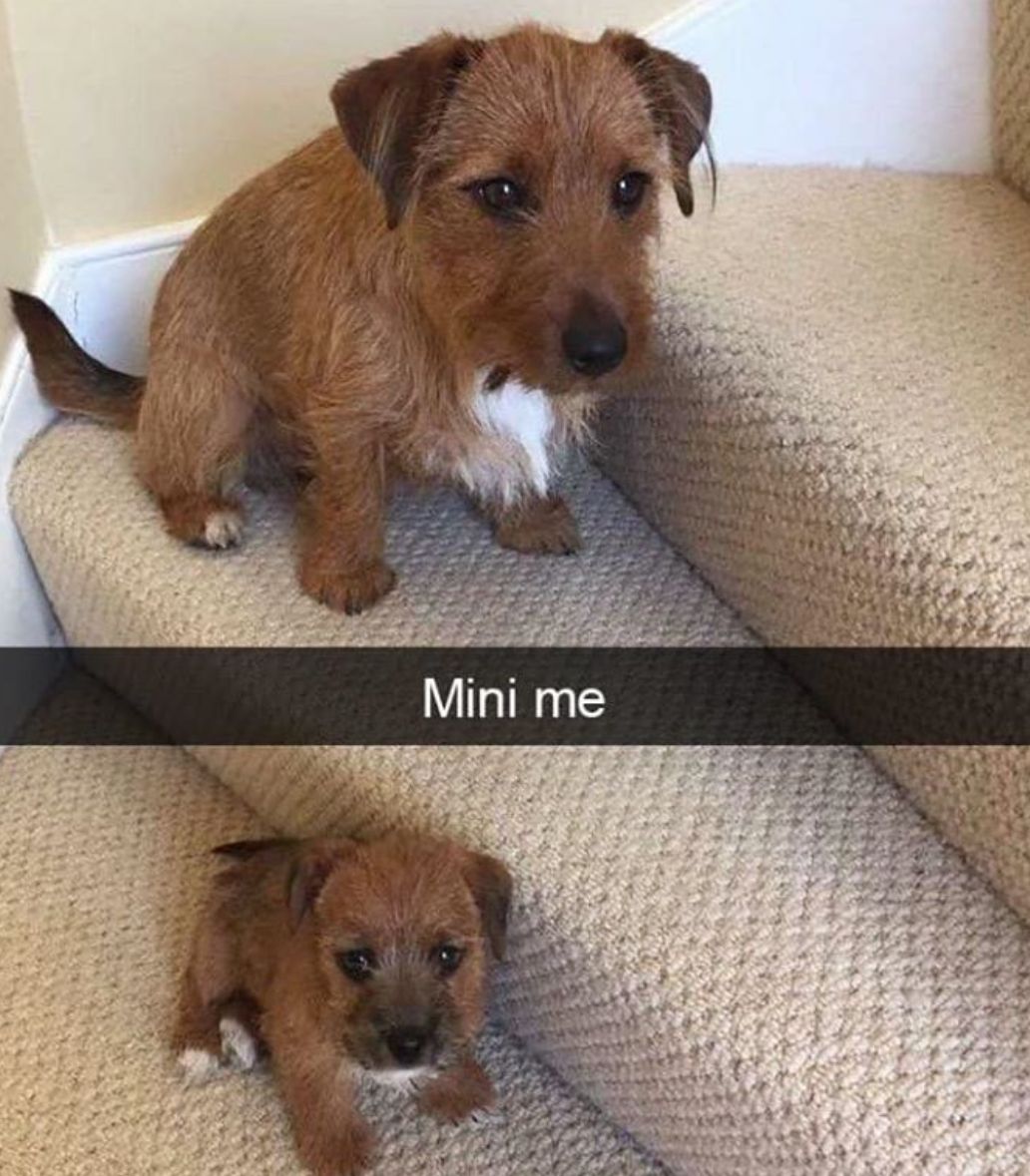 😊