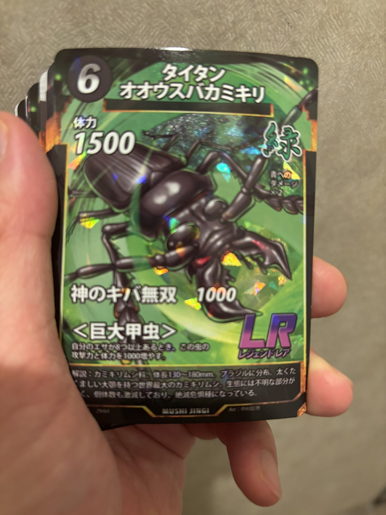 タイタンオオウスバカミキリ - Search / X