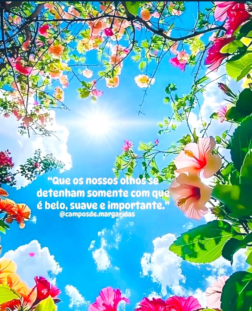 Abençoado dia ❤️❤️❤️