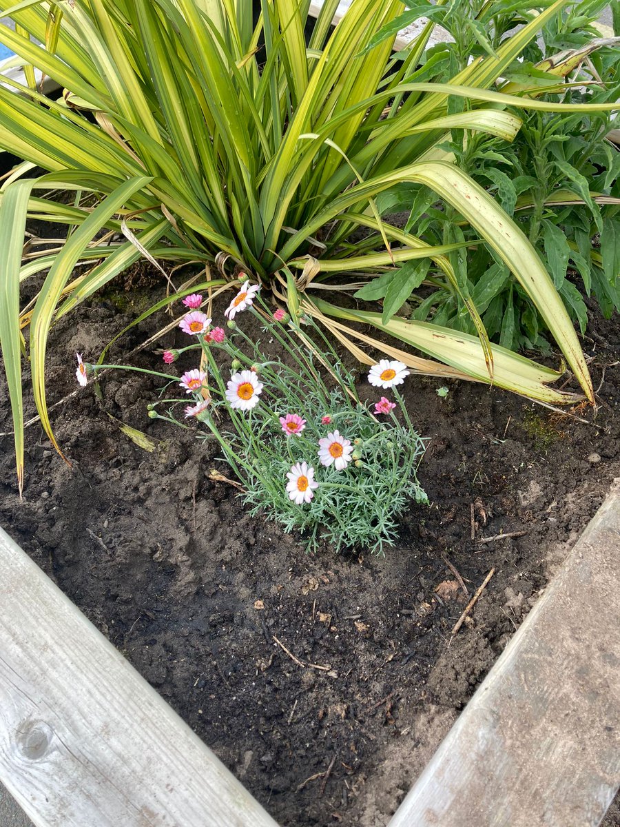 STARS South Yorkshire tweet media