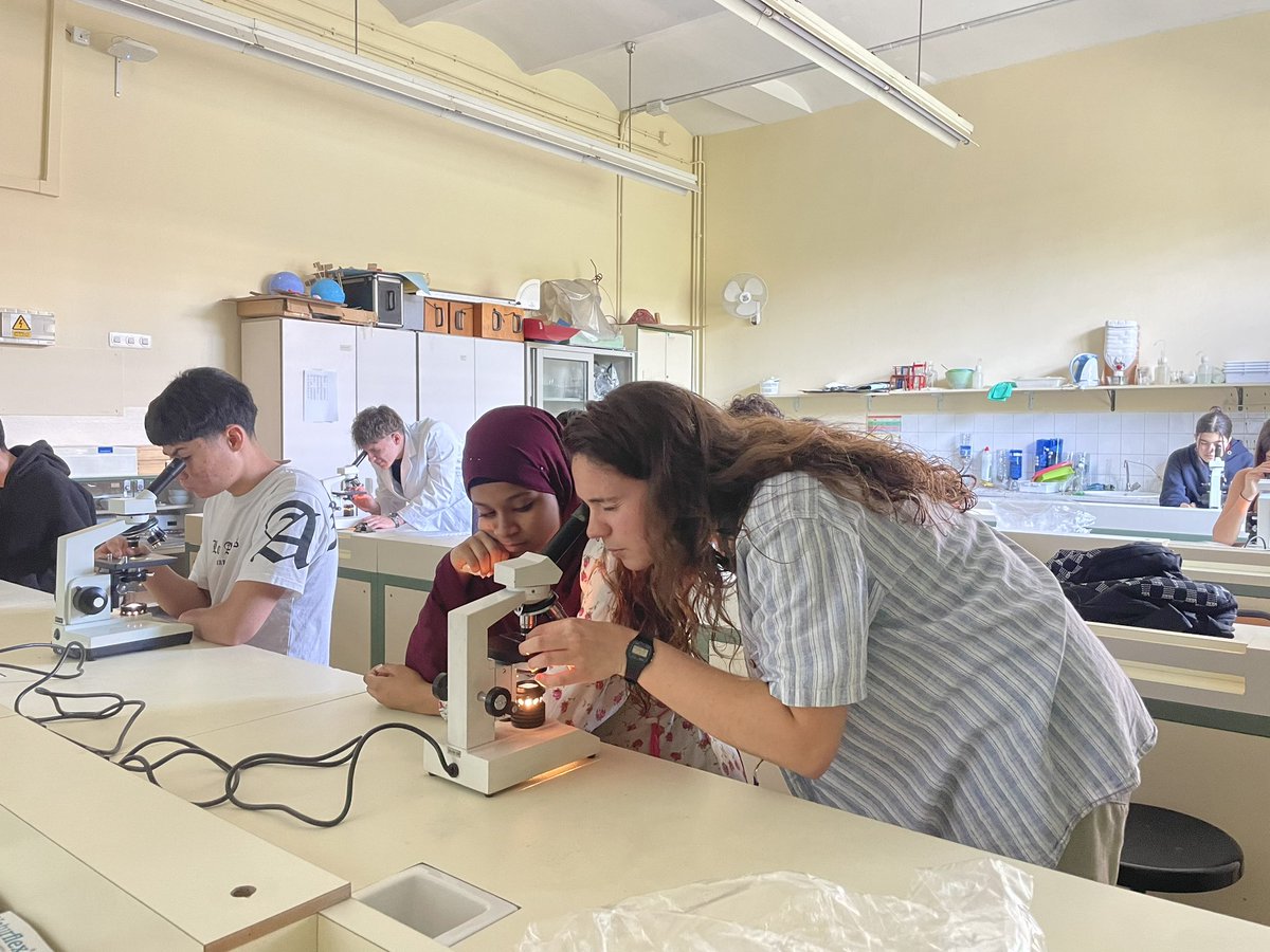 🔬 Avui a la Comissió ProBleu hem observat fitoplàncton amb microscopis reparats! Gràcies a la Paula de l’ICM per les mostres del Somorrostro 🌊🦠. Hem vist diatomees, dinoflagel·lats i més. Les imatges aniran a Minka! 📸🔎 #CiènciaCiutadana #Biodiversitat <a href="/pro_bleu/">ProBleu</a>