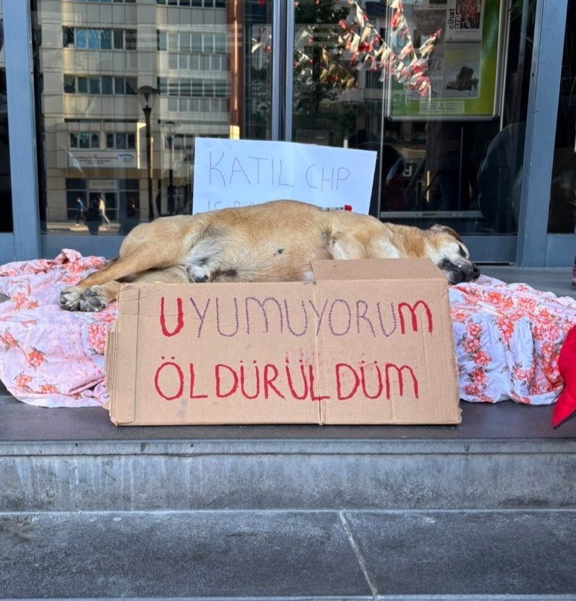 ❗️ 

Sana oy vereceğime 

Kedi  b0kuna bassaydım mührü 

<a href="/herkesicinCHP/">CHP 🇹🇷</a>