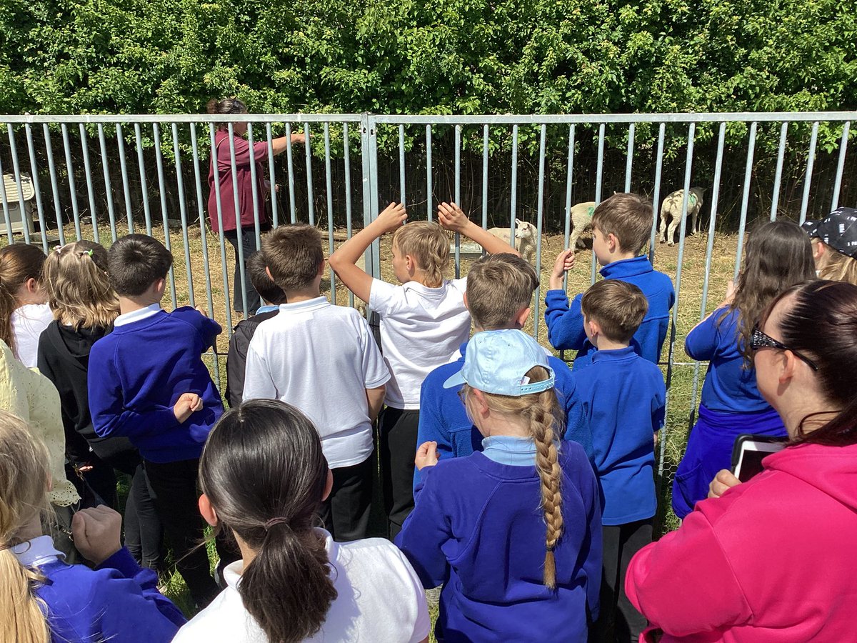Leys Farm Junior School tweet media