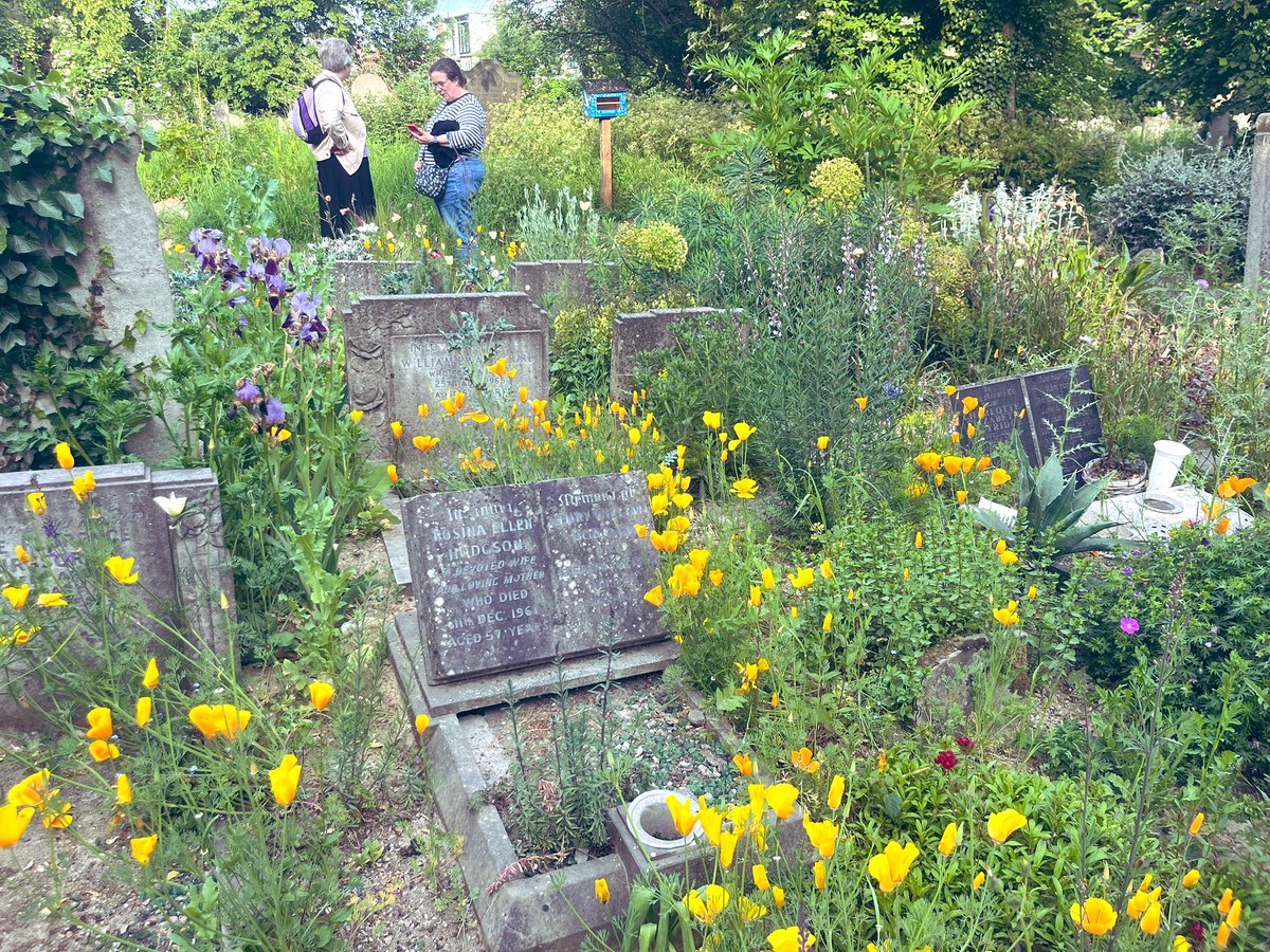 A wonderful evening at St Mary’s church in Walthamstow last night discussing all things wild gardening with the head gardener and my friend Tim Hewitt, Kate Bradbury, Errol Reuben Fernandes, Wild City Studio and Susannah aka hellotherelinda on Instagram. Follow them all! 🌿🌵🌺