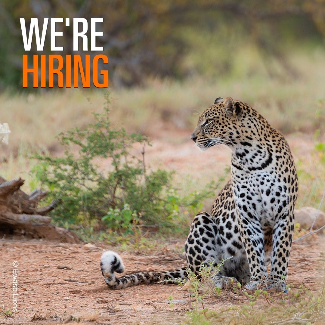 📣 The deadline to apply for our Partnerships Manager role is nearly here!

If you’re a fundraiser looking to develop your career within a fundraising &amp; grant-giving wildlife conservation charity, then we’d love to hear from you. 

Apply before 23rd May: whitleyaward.org/about/current-…