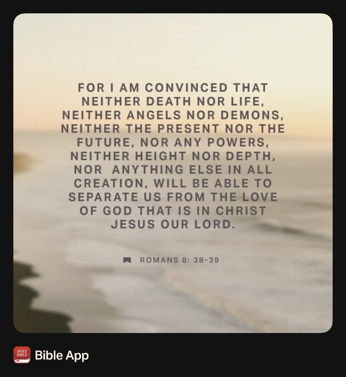 Lukas Haworth tweet media