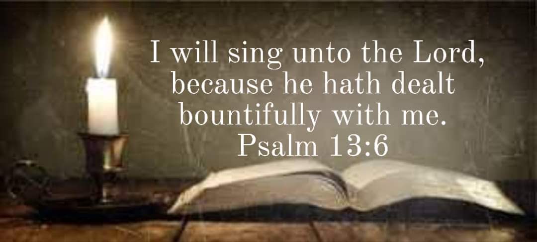 Tracy Killinger 🇺🇸 tweet media