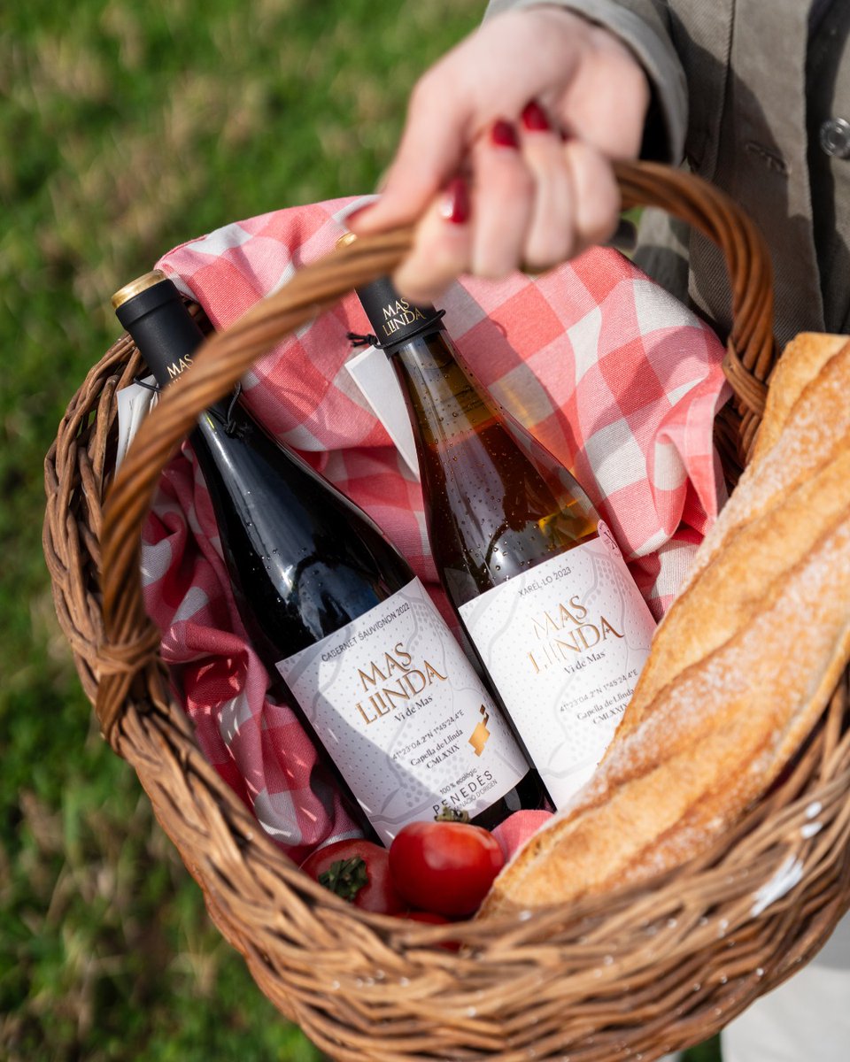 Dos vins ecològics elaborats amb detall i passió.
🍇 Xarel·lo Mas Llinda: aromes frescos de fruita tropical i un toc mineral.
🍷 Cabernet Sauvignon Mas Llinda: notes de cacau i pruna, tocs dolços i final llarg.
Disponible a botigues físiques 🛒i online 📲 covides.com/botiga/product…